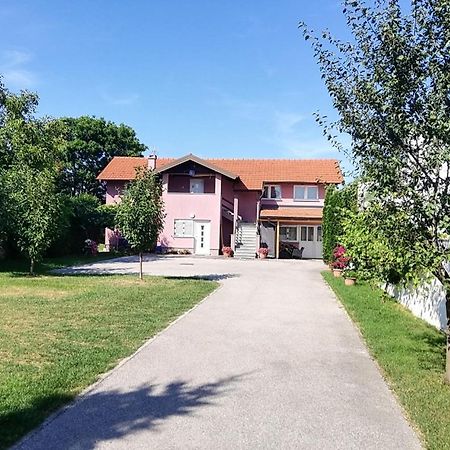 Guest House Lucija Buzin Buitenkant foto